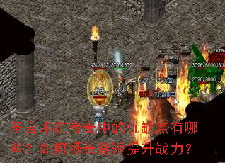 ʥ�����ڴ����е���ȱ������Щ������ﳤ�ܶ�����ս����