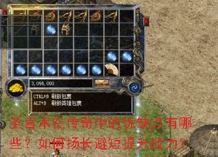 ʥ�����ڴ����е���ȱ������Щ������ﳤ�ܶ�����ս����