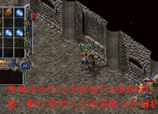 �����ʿְҵΪ�α���ΪBOSS���ǣ�ְҵ������ʵս����ȫ�����