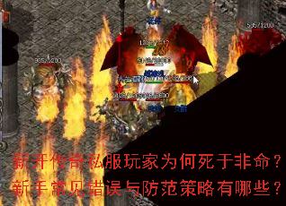 �¿�����˽�����Ϊ�����ڷ��������ֳ��������������������Щ��