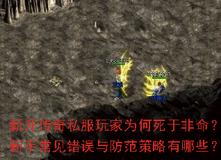 �¿�����˽�����Ϊ�����ڷ��������ֳ��������������������Щ��