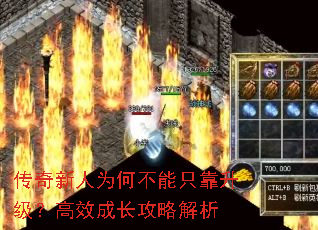 ��������Ϊ�β���ֻ����������Ч�ɳ����Խ���