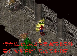 ����˽����ҹ�����ǿ��ָ���Ŀ���Խ�����ʵսӦ��ָ��