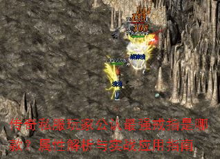 ����˽����ҹ�����ǿ��ָ���Ŀ���Խ�����ʵսӦ��ָ��