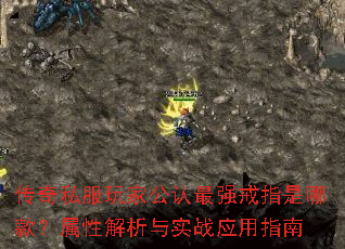 ����˽����ҹ�����ǿ��ָ���Ŀ���Խ�����ʵսӦ��ָ��