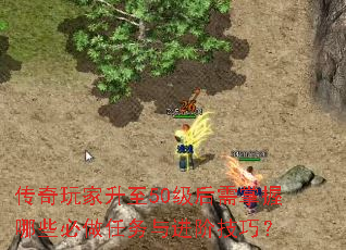 �����������50������������Щ������������׼��ɣ�