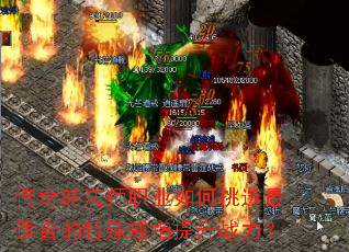 ����SF��ʦְҵ�����ѡ���ʺϵ������ָ����ս����