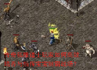 ����˽����ʿ�����θ�Ч������ָ�ӱ����ư�ս����