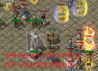 ����˽����ʿ�����θ�Ч������ָ�ӱ����ư�ս����