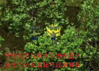 ���淨ʦΪ�δ���Я����ɫҩˮ��ҩˮ������ս������