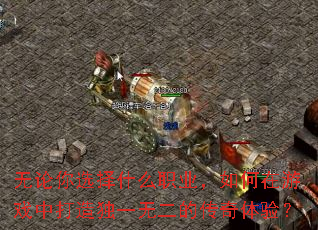 ������ѡ��ʲôְҵ���������Ϸ�д����һ�޶��Ĵ������飿