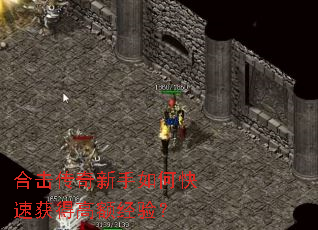 �ϻ�����������ο��ٻ�ø߶�飿