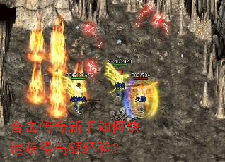 �ϻ�����������ο��ٻ�ø߶�飿