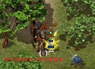 �������̩���������渱����