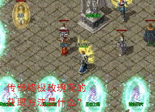 �����ռ�õ�廨�Ļ�ȡ������ʲô��