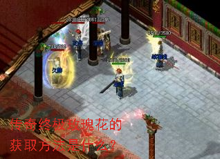 �����ռ�õ�廨�Ļ�ȡ������ʲô��