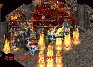 սʿ����BOSS�������ʤ�ʣ�