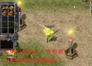 ����ж��Լ��ڴ�����Ϸ�еĳɳ��׶�ƫ��