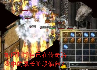 ����ж��Լ��ڴ�����Ϸ�еĳɳ��׶�ƫ��