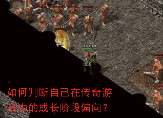 ����ж��Լ��ڴ�����Ϸ�еĳɳ��׶�ƫ��