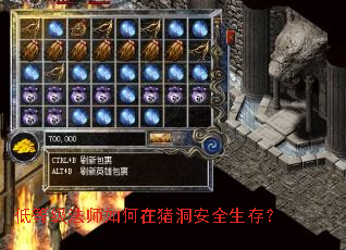 �͵ȼ���ʦ�����������ȫ���棿