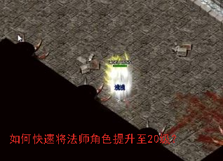 ��ο��ٽ���ʦ��ɫ������20����