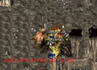 ��ο��ٽ���ʦ��ɫ������20����