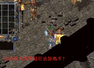 ��γ�Ϊ�����ɷ�׷�ٸ��֣�