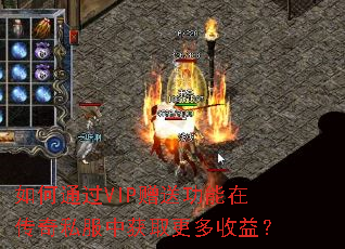 ���ͨ��VIP���͹����ڴ���˽���л�ȡ�������棿