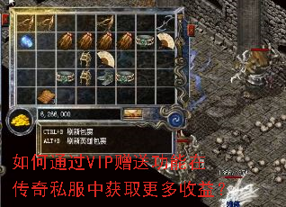 ���ͨ��VIP���͹����ڴ���˽���л�ȡ�������棿