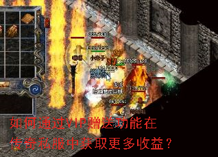 ���ͨ��VIP���͹����ڴ���˽���л�ȡ�������棿