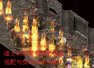 ��ʿ�����صļ��ܴ�����ʵս����ָ�ϣ�