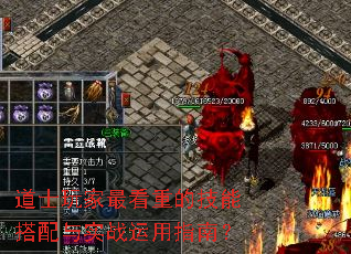 ��ʿ�����صļ��ܴ�����ʵս����ָ�ϣ�