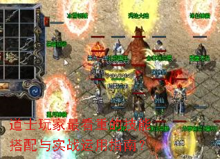 ��ʿ�����صļ��ܴ�����ʵս����ָ�ϣ�