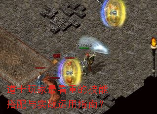 ��ʿ�����صļ��ܴ�����ʵս����ָ�ϣ�