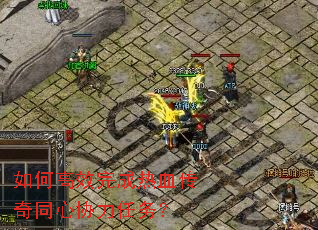 ��θ�Ч�����Ѫ����ͬ��Э������