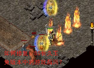 ����޸�1.85�������ð汾�е���Ϸ©����