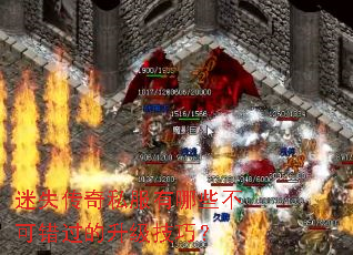 ��ʧ����˽������Щ���ɴ������������ɣ�