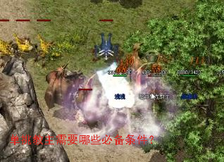 ����������Ҫ��Щ�ر�������