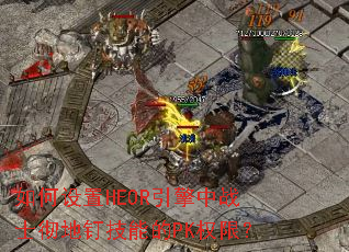 �������HEOR������սʿ���ض����ܵ�PKȨ�ޣ�