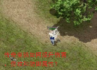 ����������������˺��������ͷ������ԣ�