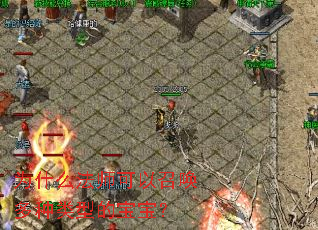 Ϊʲô��ʦ�����ٻ��������͵ı�����