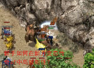 ����������¿���̬����sf�и�Чˢ�֣�