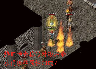 ��Ѫ����ƺ��������ܻ����Щ���Լӳɣ�