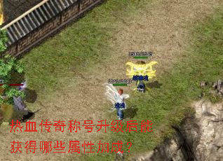 ��Ѫ����ƺ��������ܻ����Щ���Լӳɣ�