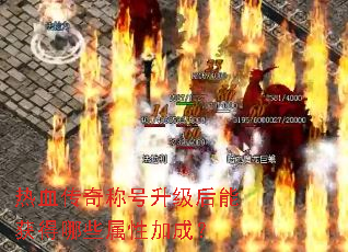 ��Ѫ����ƺ��������ܻ����Щ���Լӳɣ�