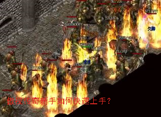 ���Ӵ���������ο������֣�