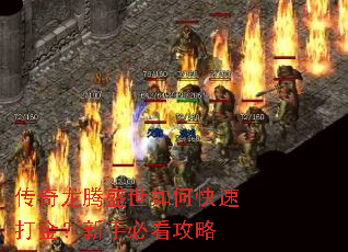 ��������ʢ����ο��ٴ�����ֱؿ�����