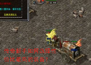 �����������ѡ���Լ۱���ߵ�װ����