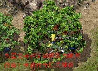 ���Ǳ��������������������ɣ�ȫ�´����淨����